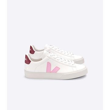 Dámské Low Tops Sneakers Veja CAMPO CHROMEFREE White/Pink | CZ 591ZUT